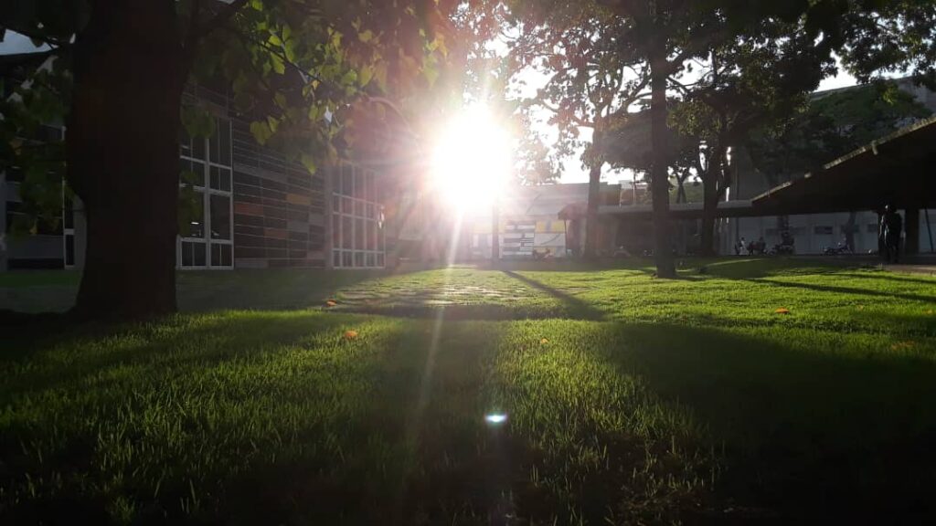 Campos